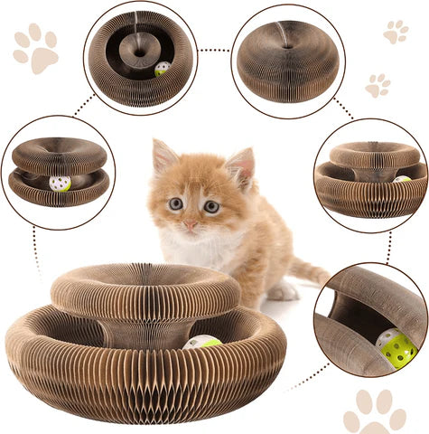 Brinquedo Mágico Sanfonado com Bolinha para Gatos