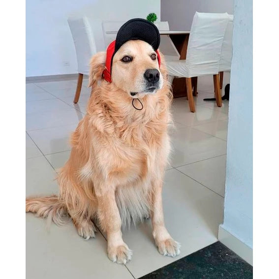 Bonés para Pet - Cães e gatos - Machos e Fêmeas