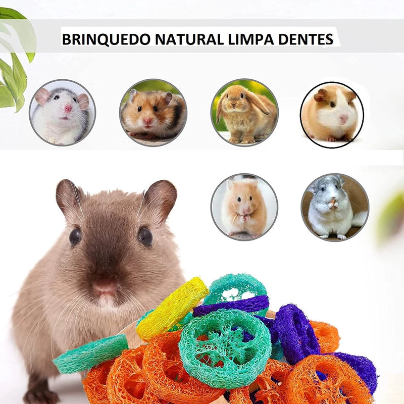 Brinquedo natural para limpeza e desgaste dos dentes de Roedores