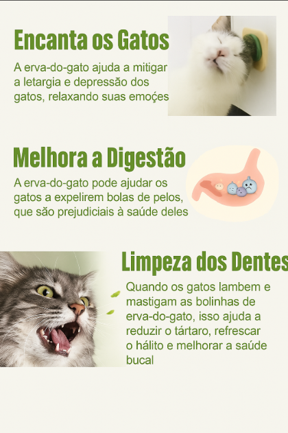 Abacate De Brinquedo Para Gatos - Catnip Erva Natural
