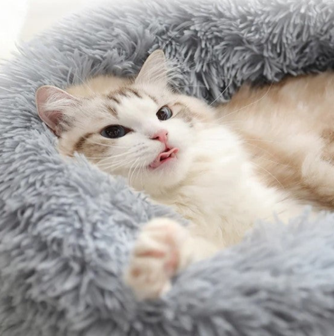 Cama de Pelúcia Nuvem Cinza | Cães e Gatos