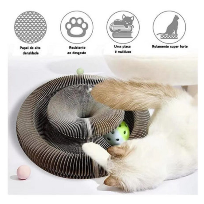 Brinquedo Mágico Sanfonado com Bolinha para Gatos