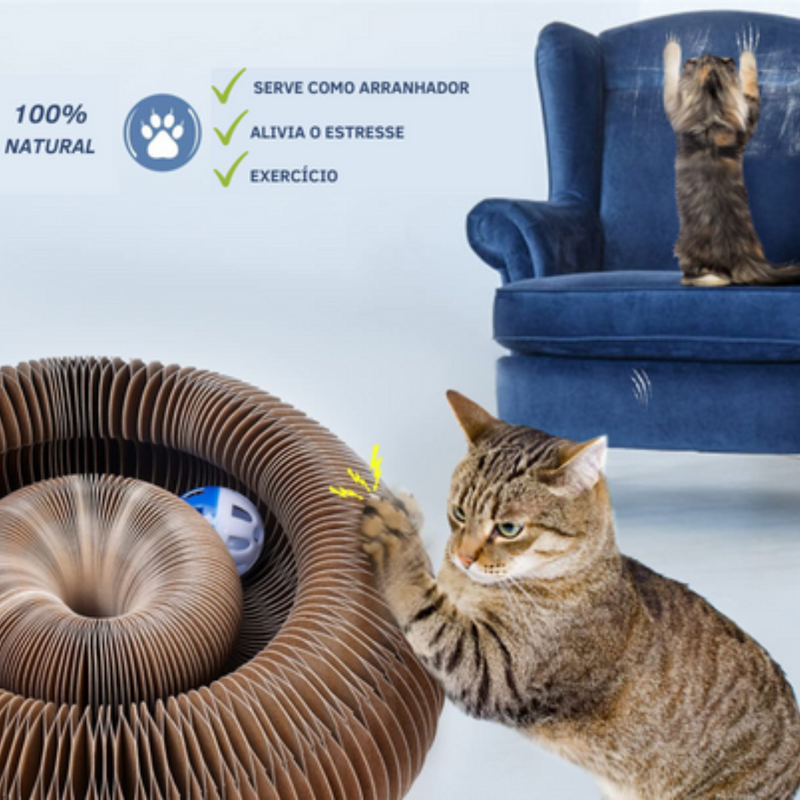 Brinquedo Mágico Sanfonado com Bolinha para Gatos