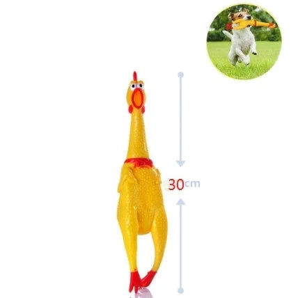 Galinha de Gravata com Som Chicken Sound Toy for Dog