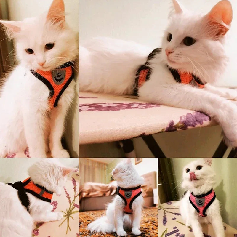 Coleira-Colete - Harness Vest Walking