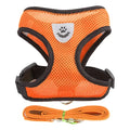 Coleira-Colete - Harness Vest Walking