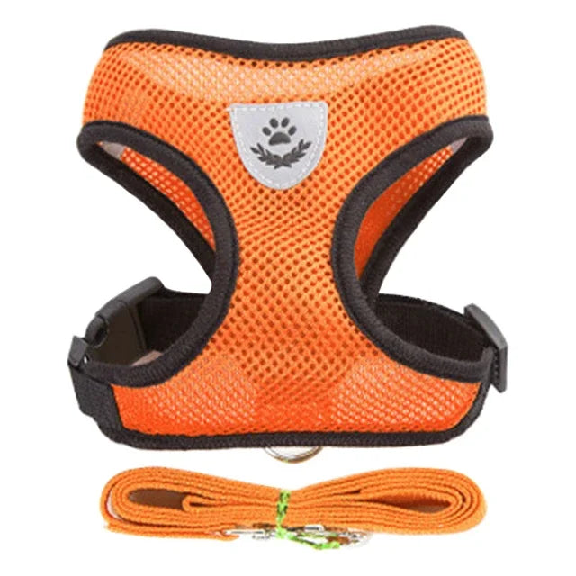 Coleira-Colete - Harness Vest Walking