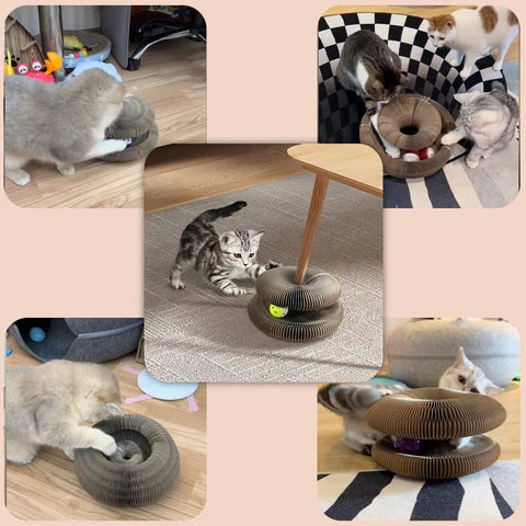 Brinquedo Mágico Sanfonado com Bolinha para Gatos
