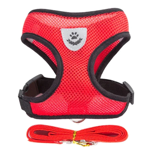 Coleira-Colete - Harness Vest Walking