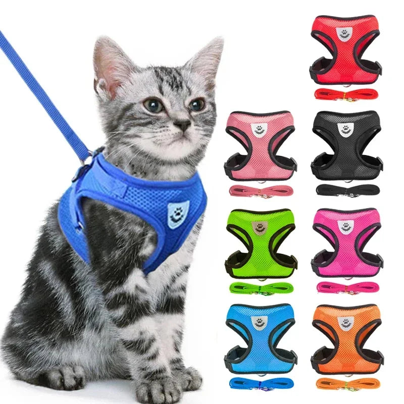 Coleira-Colete - Harness Vest Walking