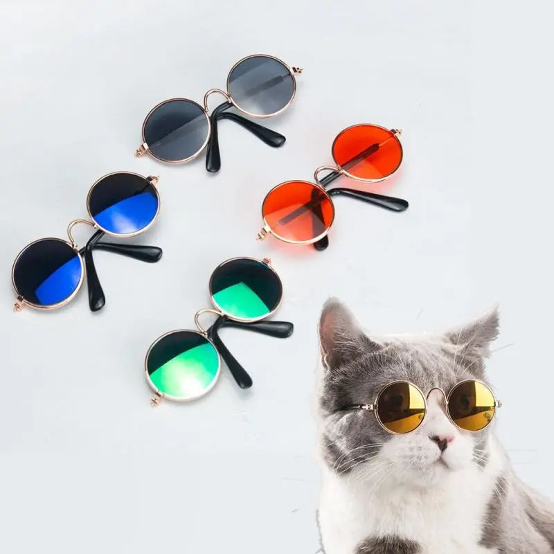 Óculos para Pets - Fulglasses