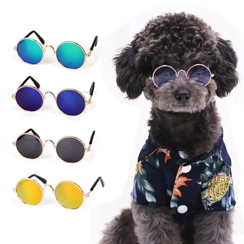 Óculos para Pets - Fulglasses