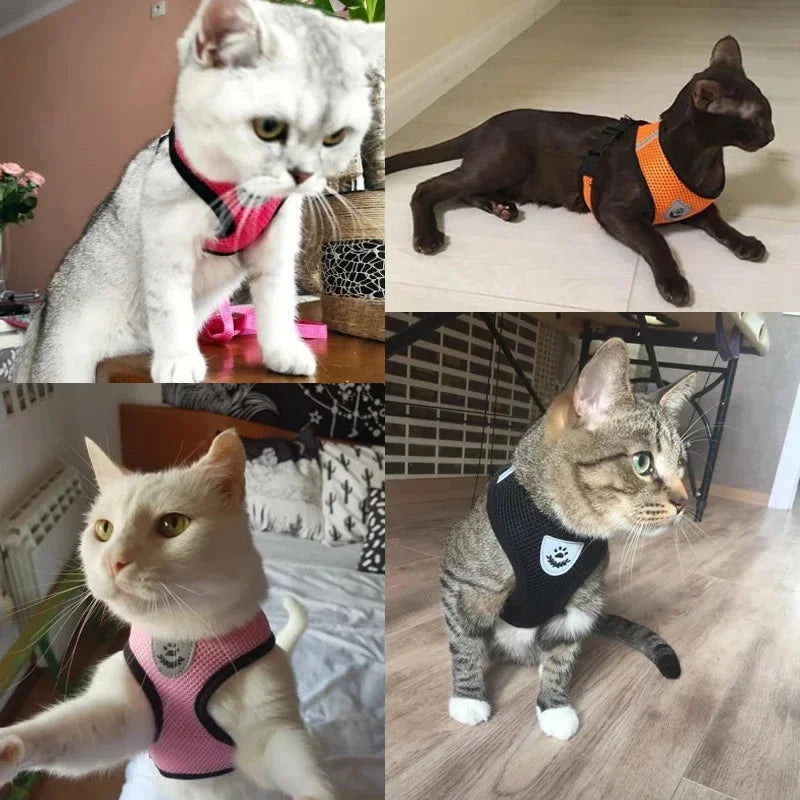Coleira-Colete - Harness Vest Walking
