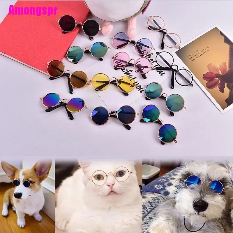 Óculos para Pets - Fulglasses