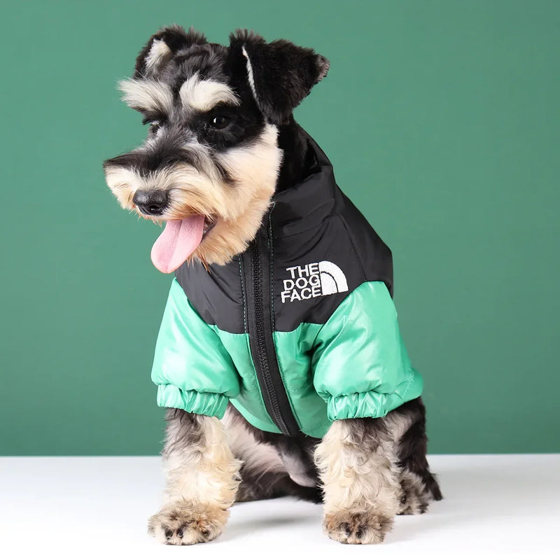 Jaqueta The Dog Face - Inverno | Cães