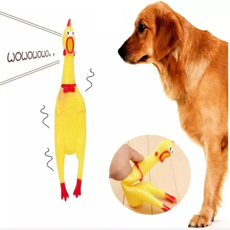Galinha de Gravata com Som Chicken Sound Toy for Dog