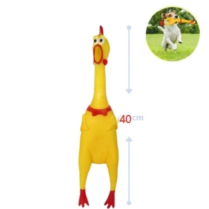 Galinha de Gravata com Som Chicken Sound Toy for Dog