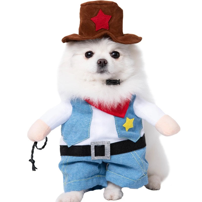 Roupinhas Divertidas Fantasia para Pets