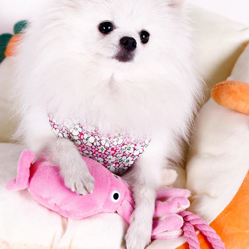 Polvo com Tentáculo de Corda e Apito - Brinquedo Mordedor | Cães