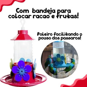 Kit 4 Bebedouro Para Pássaros Beija-flor Grande 250 Ml Colorido