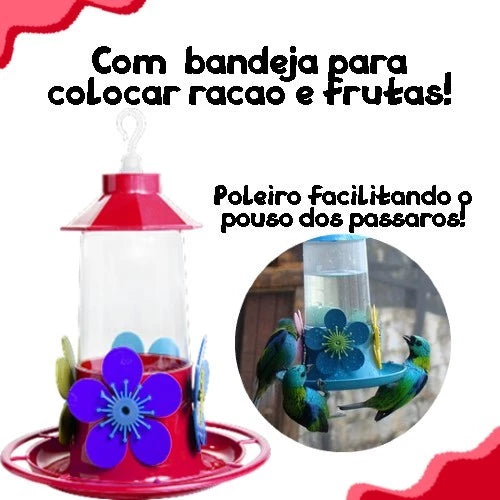 Kit 4 Bebedouro Para Pássaros Beija-flor Grande 250 Ml Colorido