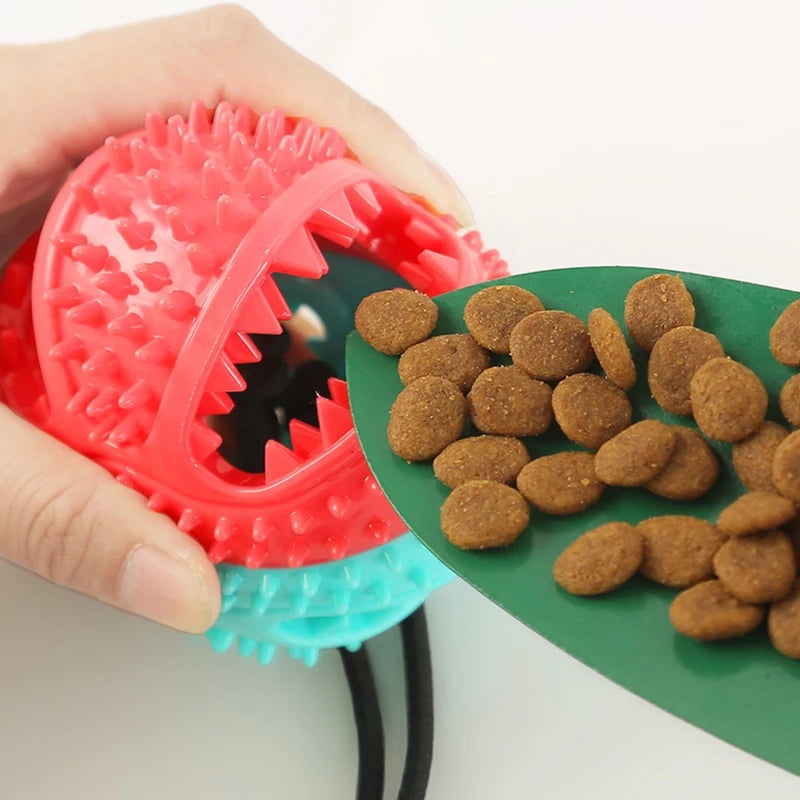Cabo De Guerra Para Cães - Push Ball