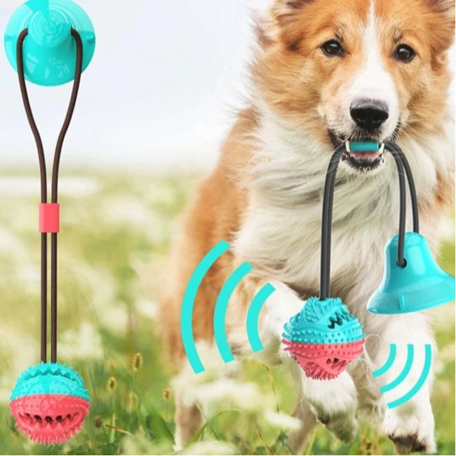 Cabo De Guerra Para Cães - Push Ball