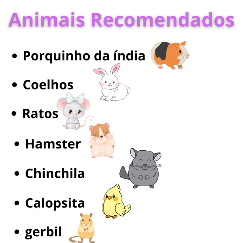 Brinquedo natural para limpeza e desgaste dos dentes de Roedores