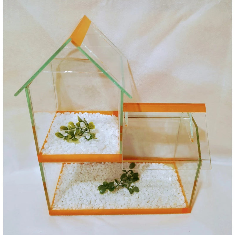 Aquário Dois Andares com Pedrinhas e Planta Artificial