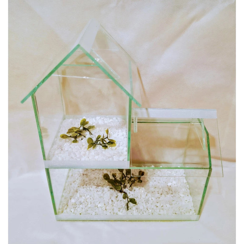 Aquário Dois Andares com Pedrinhas e Planta Artificial