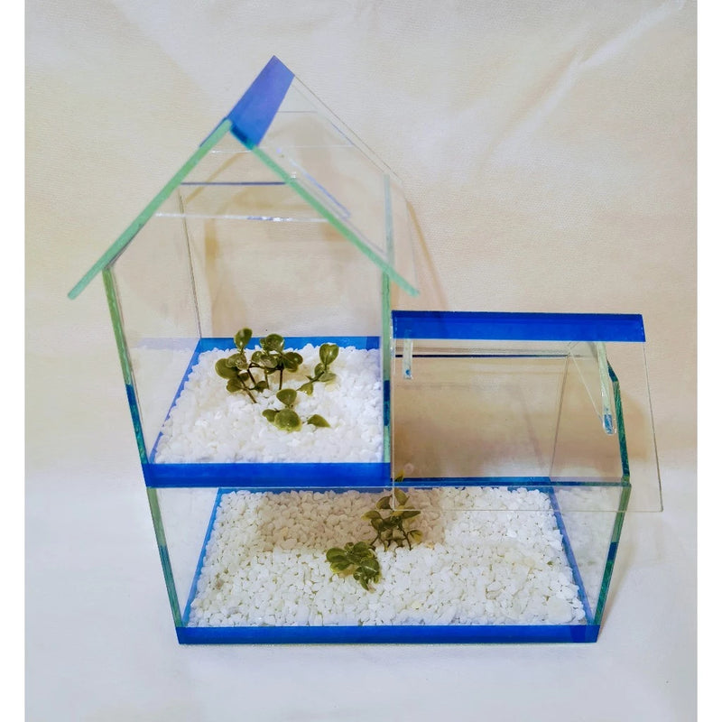 Aquário Dois Andares com Pedrinhas e Planta Artificial