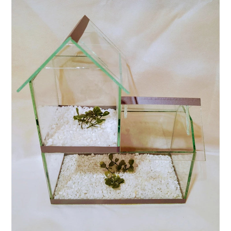 Aquário Dois Andares com Pedrinhas e Planta Artificial