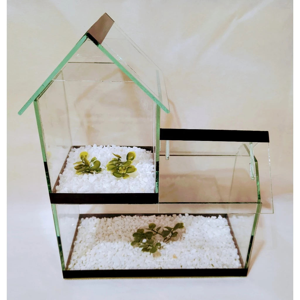 Aquário Dois Andares com Pedrinhas e Planta Artificial