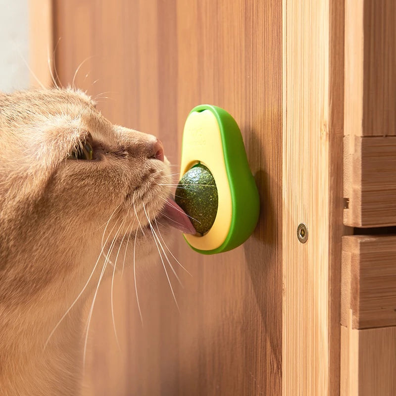 Abacate De Brinquedo Para Gatos - Catnip Erva Natural