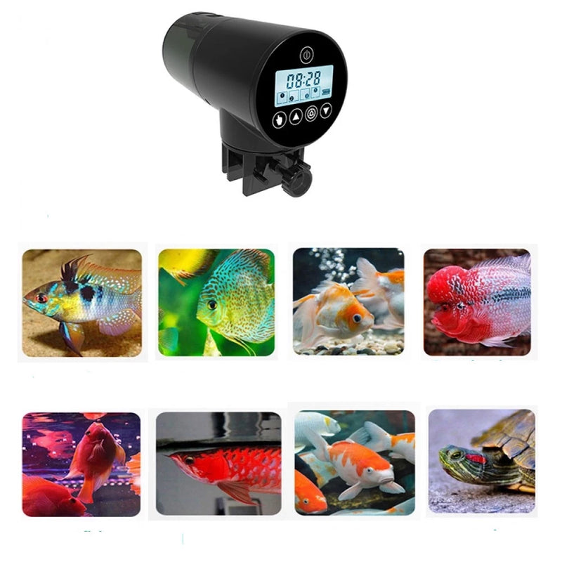 Alimentador Automático De Peixes Aquário 200ml
