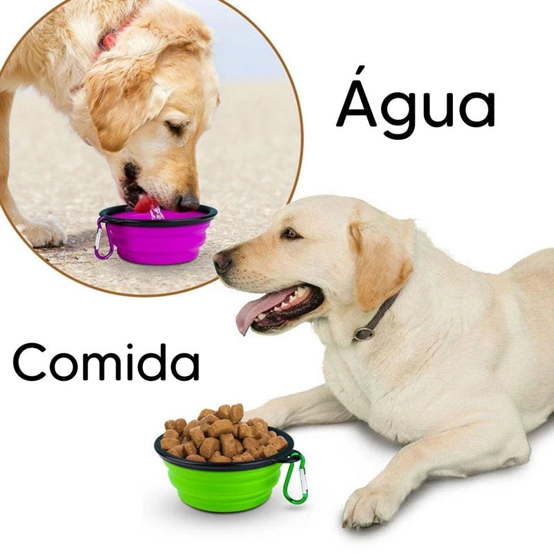Comedouro/Bebedouro Retrátil Para Cães e Gatos