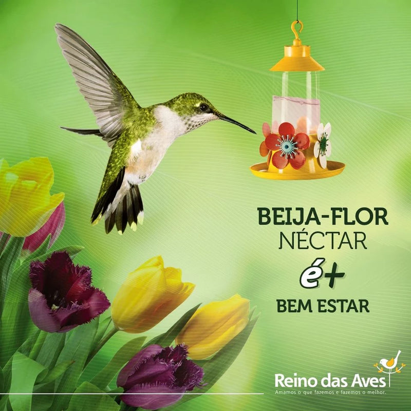 Kit 3un Nectar Beija-Flor Refil 400g Reino Das Aves