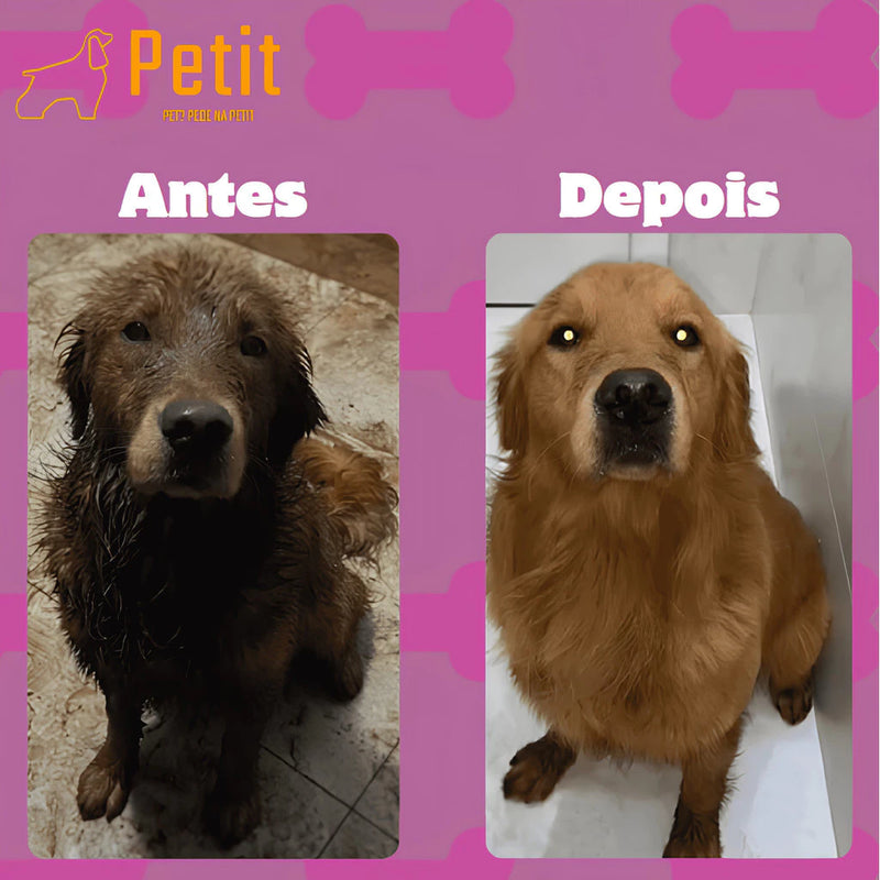 Kit Shampoo 5 em 1 + Condicionador + Perfume ou sem Perfume | Cães e Gatos | Pet Clean