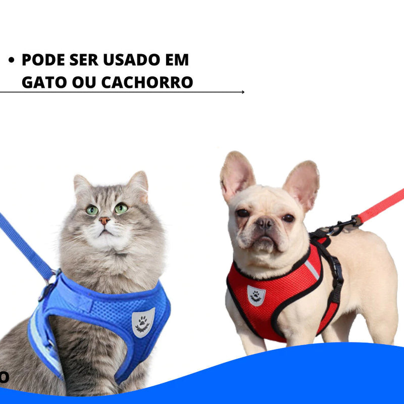 Coleira com Peitoral - Malha Flexível | Cães e Gatos